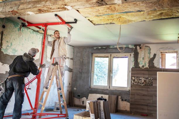 Best Insulation for New Construction  in Plainview, NY