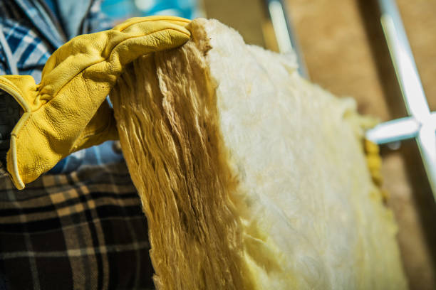Best Residential Insulation Services  in Plainview, NY